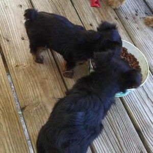 Meet your Posher, Craig